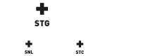 Logo STG
